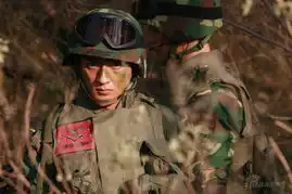 王子雄兵新剧照16
