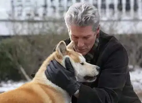 5部高分催泪电影,一个人看也会泪奔