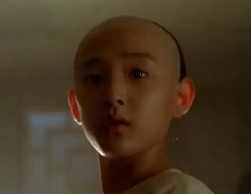 演贾宝玉出道,于小彤高开低走还劈叉的人生
