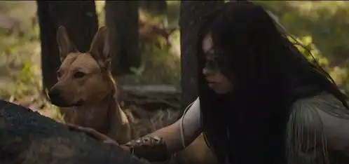 铁血战士5将会关联铁血战士2,还有一个异形小彩蛋