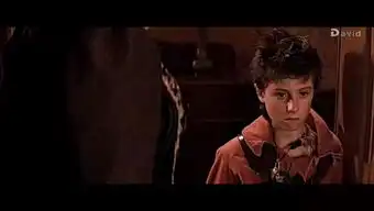 请问有谁知道演小飞侠彼得潘中最后的那个男孩叫什么名字