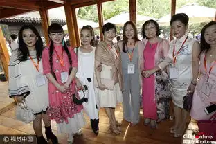 87版红楼梦再聚首王熙凤风韵依旧贾宝玉变大叔组图
