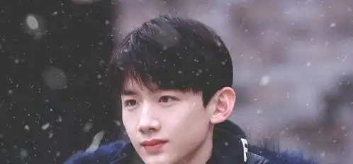 五大明星没有公司或经纪人,就可以在娱乐圈成名