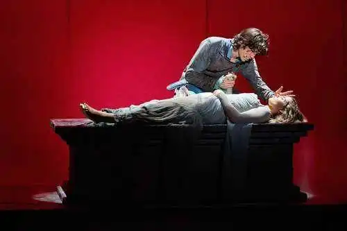 莎士比亚的戏剧罗密欧与朱丽叶戏剧沙龙第二季
