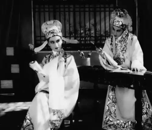 林妹妹的三段情纪念王文娟老师逝世一周年