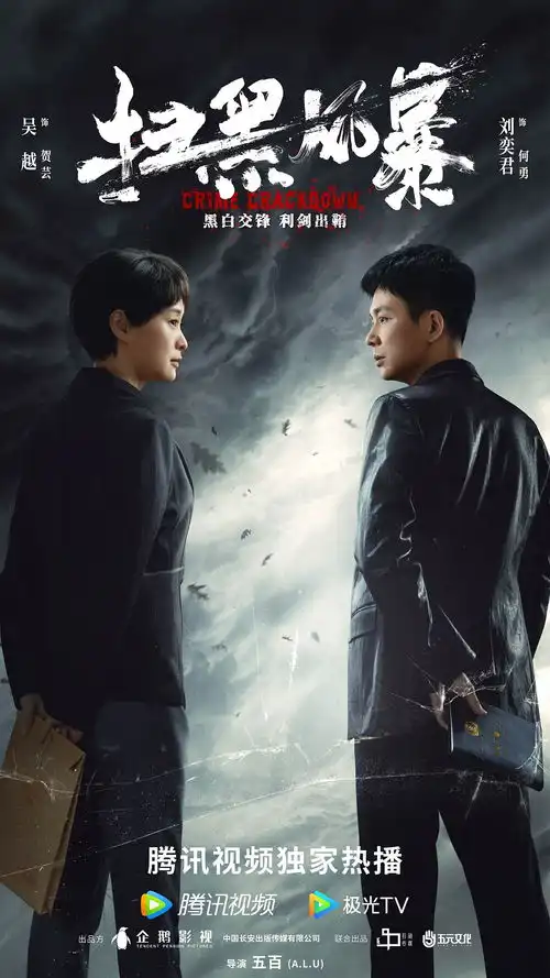 扫黑风暴关系海报