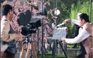 这部剧败光了张翰凭战狼2攒的路人缘