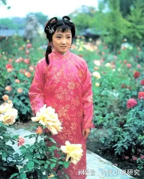 刘莉莉一得集落笔品红楼
