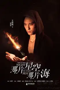 那片星空那片海曝暗夜海报极具视觉冲击8881105
