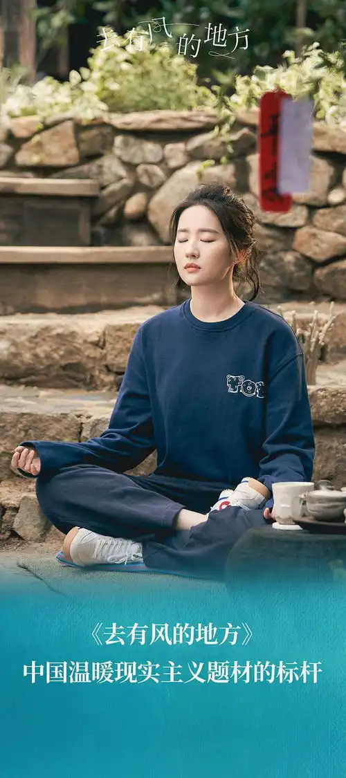 李米莉评去有风的地方华策多年精制生产的又一力作