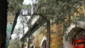 颐和园2年级游学线路智慧海吉祥云