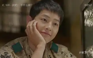 太阳的后裔剧照壁纸老伴