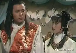 射雕英雄传之东邪西毒肯去承担爱,一生有意义