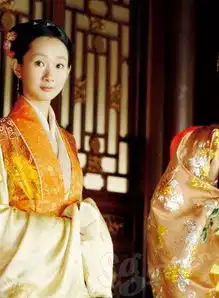 新版红楼梦的雷与红
