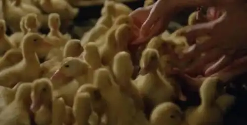 星月童话人生若只如初见,生命有什么可以比得上爱得精彩
