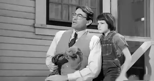 美国律师协会杂志评选的10部最佳法律电影