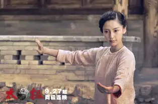 太极1从零开始精美剧照
