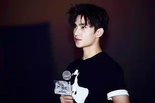 杨洋带三生回长沙身穿黑衣帅气有型
