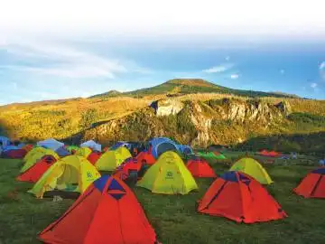 8万游客打卡天空之城