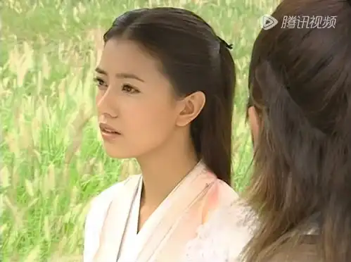 都是绝色大美女,当年高圆圆怎么会输给贾静雯