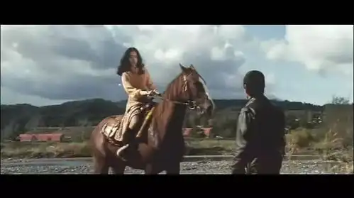 新老追捕对比张涵予演杜丘完成了我的心愿