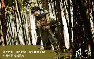 电视剧风筝剧照