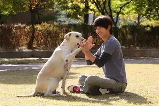 这溅血屍体是谁他是你没看过的仲基欧巴3