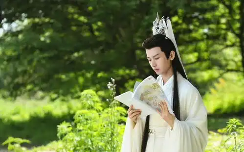 仙侠题材成毅的应渊,傲骨嶙峋,剧照太有天涯四美的感觉了
