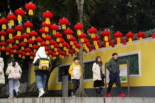 高清图集买春联年糕扣肉龙城市民迎新春