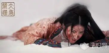 大唐荣耀沈珍珠被毁容的真相主妇网