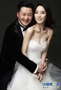 渣妻当道孙俪章子怡谢楠娱乐圈的一股清流