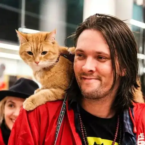 流浪猫鲍勃里的他吸毒捡垃圾吃,一只猫让他重生成畅销作家,现在它重回喵星了