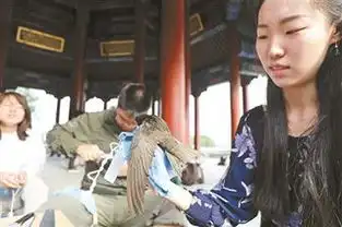 颐和园160余只雨燕迎体检颐和园首次封闭廓如亭