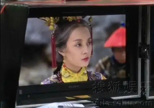 孙俪补拍美版甄嬛白发苍苍眼神犀利