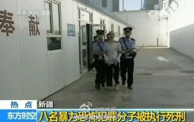 新疆8名暴力恐怖犯罪分子被执行死刑
