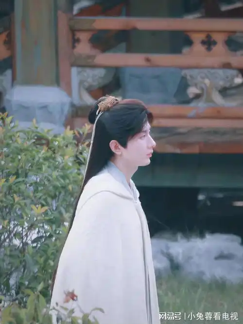 莲花楼成毅路透图
