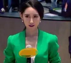 新浪最美女记者记谨言神似佟丽娅泷泽萝拉走红就读美国哥伦比亚大学
