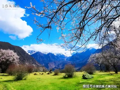 蓝城春风桃源环境优美,交通便利,服务功能完善,管理规范生活
