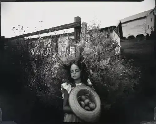 摄影从辅助绘画到艺术市场潜力股
