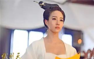 武媚娘传奇徐贤妃剧照
