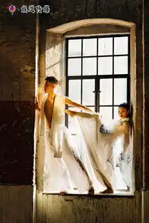 著名舞蹈家夏冰最新剧照古风生命诺言