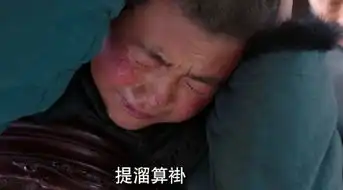 文章新剧少帅开播剧中的东北话你能明白多少