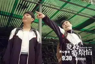 夏洛特烦恼究竟抄袭没抄袭
