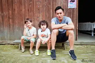 爸爸3胡军携康康回归