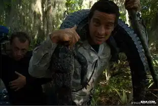 荒野求生传奇人物贝尔格里尔斯,请看35楼后有幕后故事解密走进真实的贝爷,
