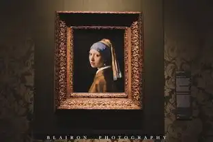 我们每年都去看花吧,老了也去郁金香国度荷兰全境游