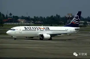 光谷又牛逼了闹市秘密组装客机打造天空城