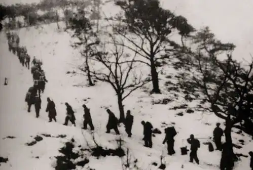 长津湖敌军有一个致命弱点,志愿军为啥视而不见