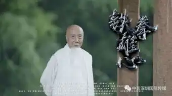 少林寺大师于海重出江湖铁拳雄心再现英雄本色
