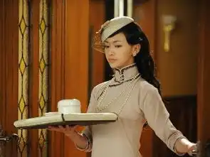 烽火佳人2013年舒畅陈键锋乔振宇主演电视剧